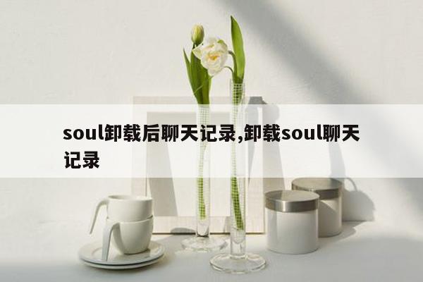 soul卸载后聊天记录,卸载soul聊天记录