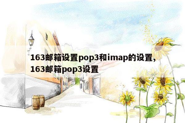 163邮箱设置pop3和imap的设置,163邮箱pop3设置