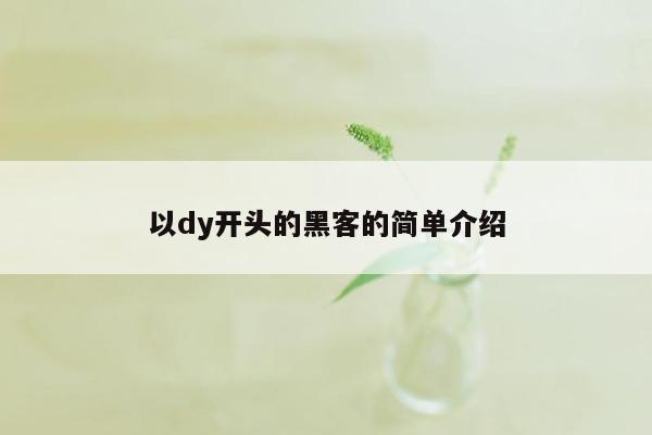 以dy开头的黑客的简单介绍