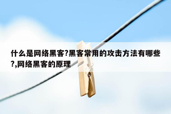 什么是网络黑客?黑客常用的攻击方法有哪些?,网络黑客的原理