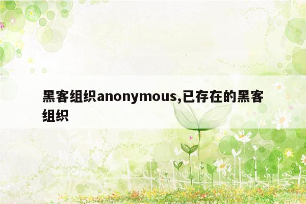 黑客组织anonymous,已存在的黑客组织