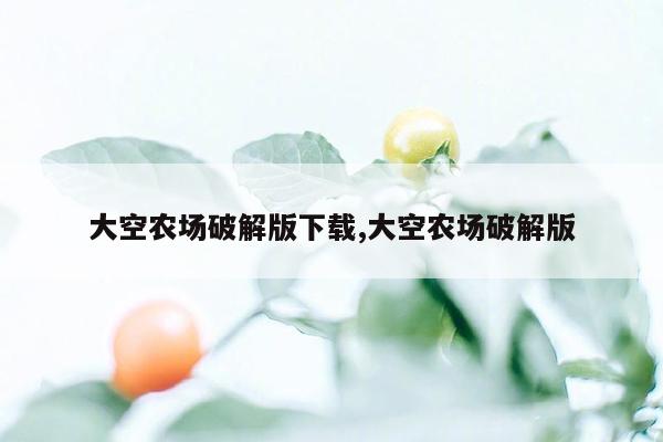 大空农场破解版下载,大空农场破解版