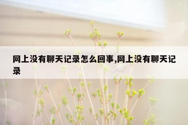 网上没有聊天记录怎么回事,网上没有聊天记录