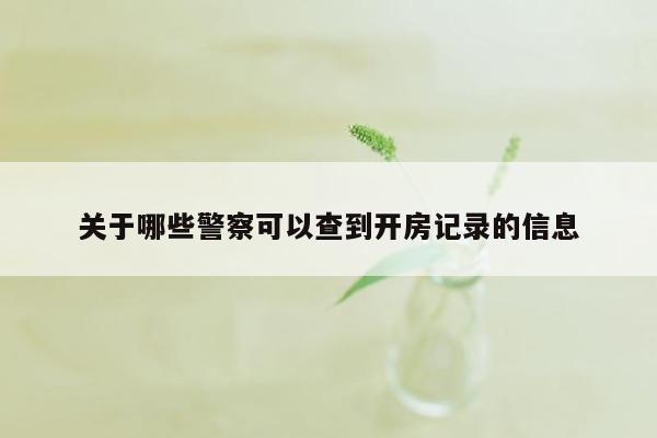 关于哪些警察可以查到开房记录的信息