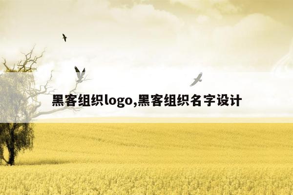 黑客组织logo,黑客组织名字设计