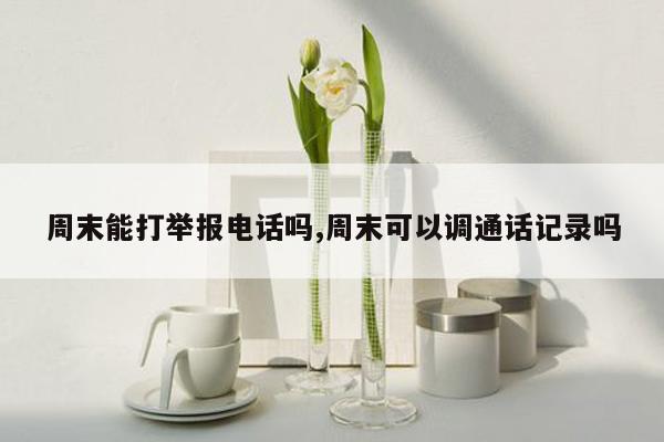 周末能打举报电话吗,周末可以调通话记录吗