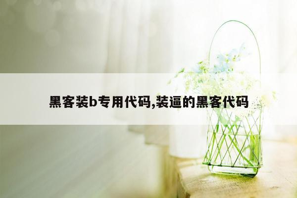 黑客装b专用代码,装逼的黑客代码