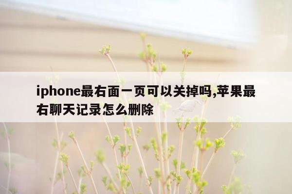 iphone最右面一页可以关掉吗,苹果最右聊天记录怎么删除