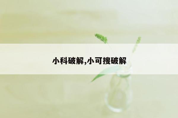 小科破解,小可搜破解