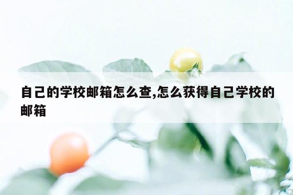 自己的学校邮箱怎么查,怎么获得自己学校的邮箱