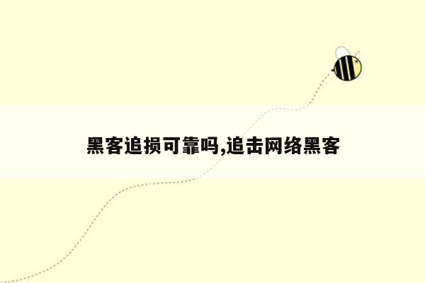 黑客追损可靠吗,追击网络黑客