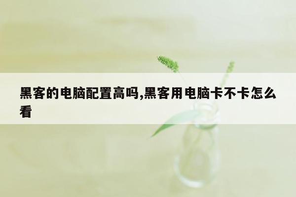 黑客的电脑配置高吗,黑客用电脑卡不卡怎么看