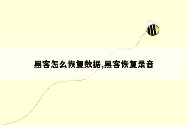 黑客怎么恢复数据,黑客恢复录音