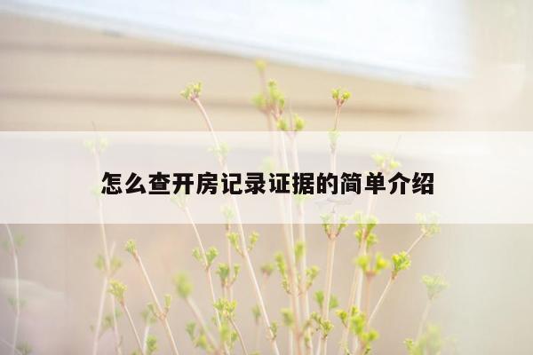 怎么查开房记录证据的简单介绍