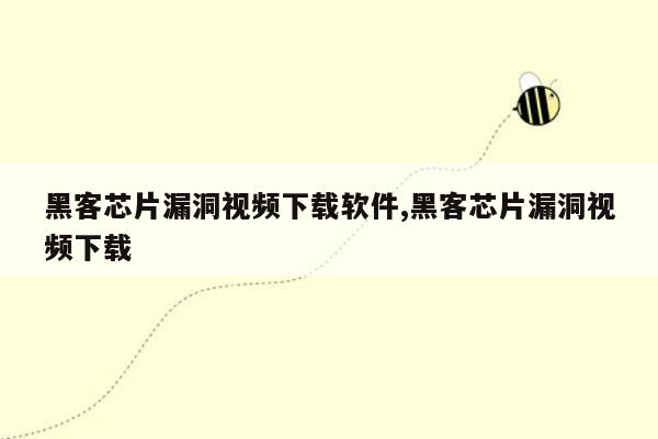 黑客芯片漏洞视频下载软件,黑客芯片漏洞视频下载