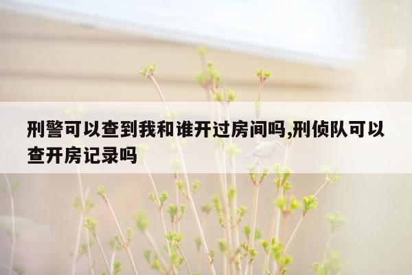 刑警可以查到我和谁开过房间吗,刑侦队可以查开房记录吗