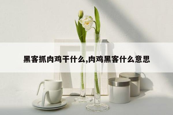 黑客抓肉鸡干什么,肉鸡黑客什么意思