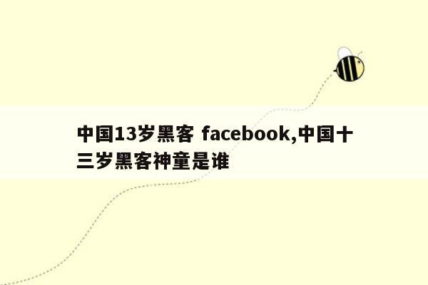 中国13岁黑客 facebook,中国十三岁黑客神童是谁