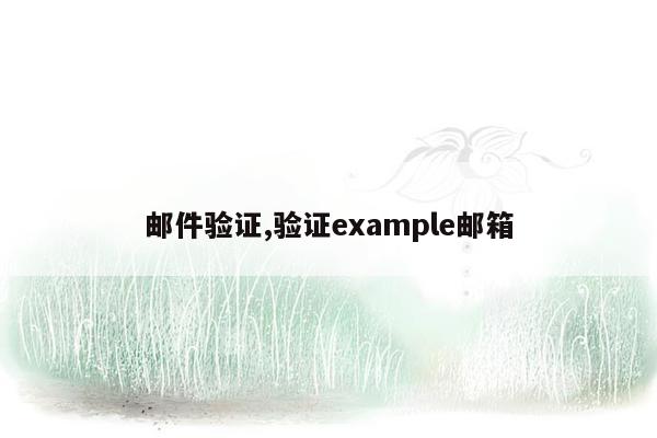 邮件验证,验证example邮箱