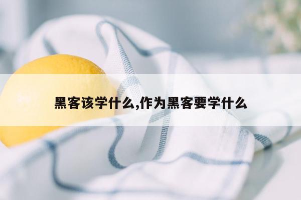 黑客该学什么,作为黑客要学什么