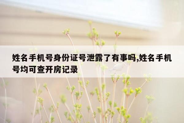 姓名手机号身份证号泄露了有事吗,姓名手机号均可查开房记录