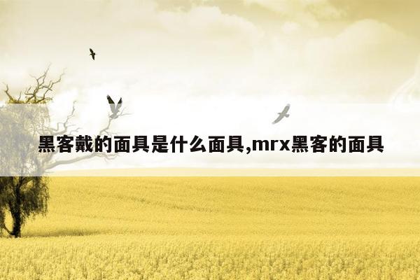 黑客戴的面具是什么面具,mrx黑客的面具