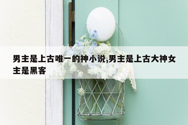 男主是上古唯一的神小说,男主是上古大神女主是黑客