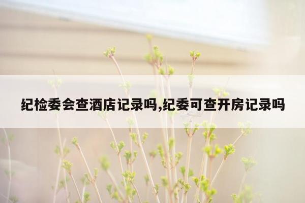 纪检委会查酒店记录吗,纪委可查开房记录吗